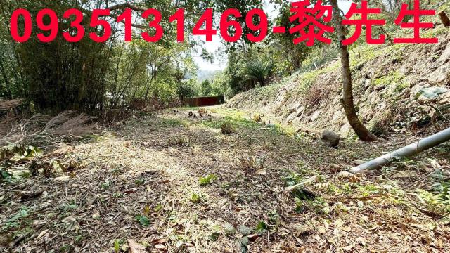 關西農地_道路用地-5