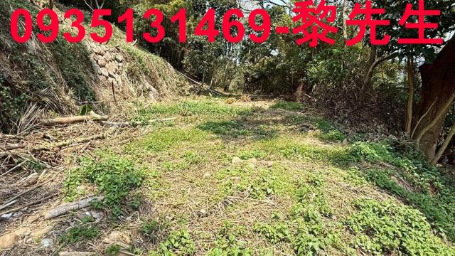 關西農地_道路用地-6