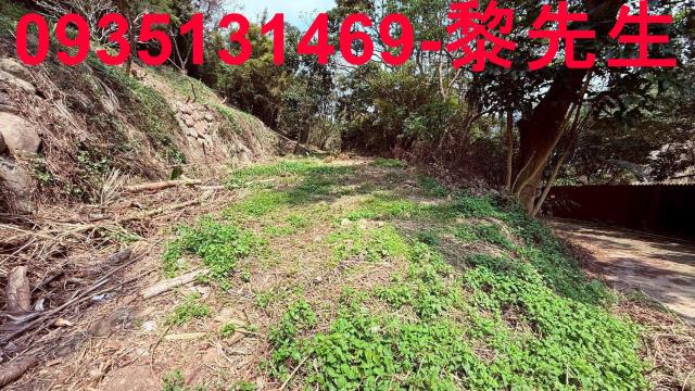 關西農地_道路用地-1