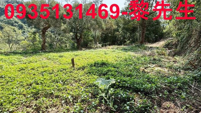 關西農地_道路用地-9