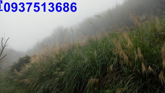 新竹原住民保留地-1