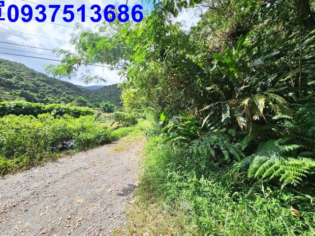 宜蘭頭城山坡地-11