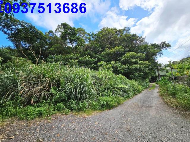 宜蘭頭城山坡地-4