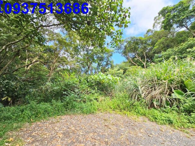 宜蘭頭城山坡地-6