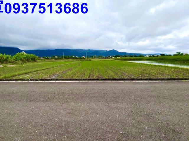 宜蘭三星農地-1