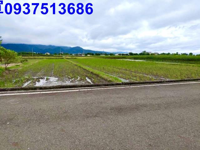 宜蘭三星農地-8