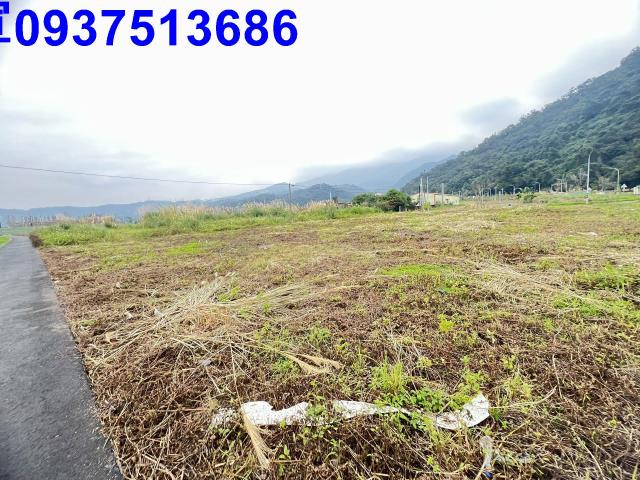 宜蘭礁溪建地-6