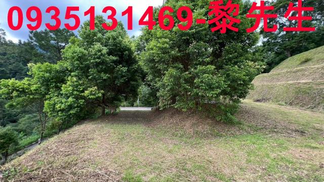 新竹北埔農地_道路持份-13