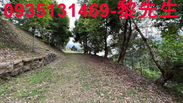 新竹北埔農地_道路持份-15