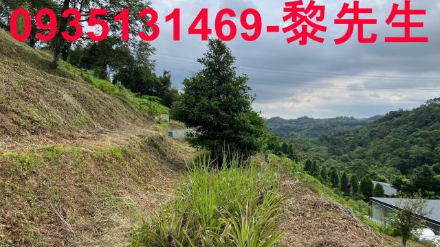 新竹北埔農地_道路持份-3