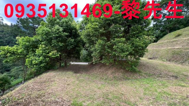 新竹北埔農地_道路持份-4