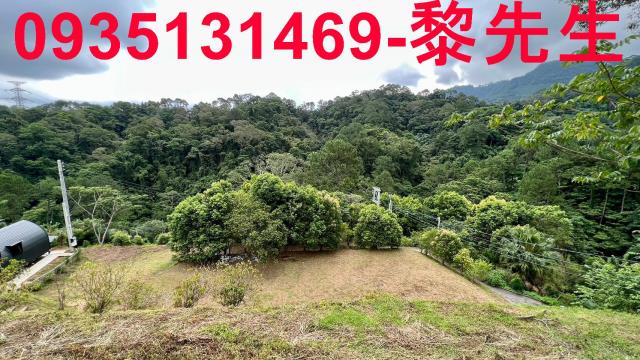 新竹北埔農地_道路持分-7