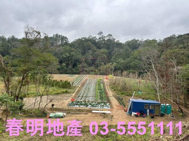 新竹橫山農地-12