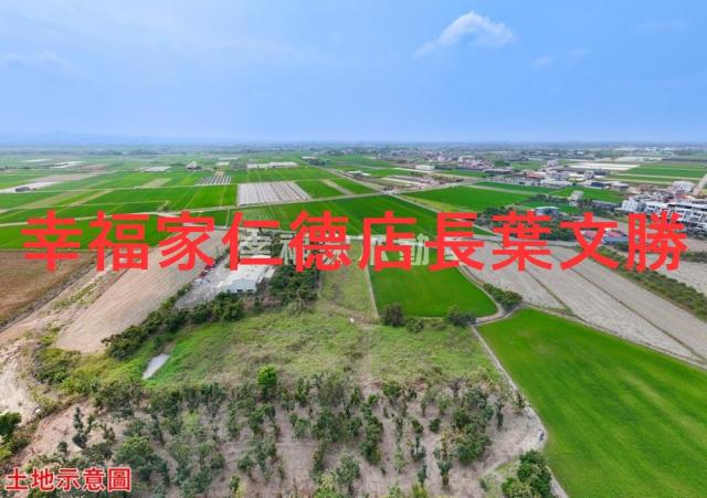 台南農地-3