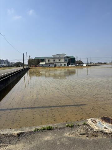 桃園新屋農地-2