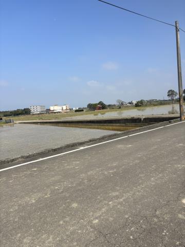 桃園新屋農地-5