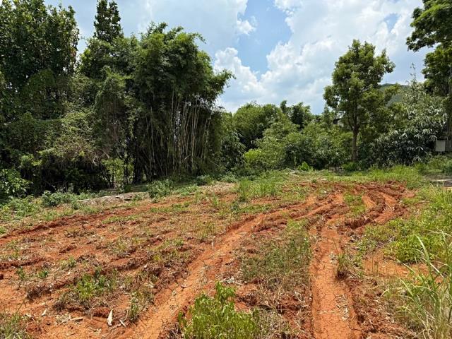 桃園八德農地-2