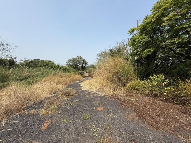 桃園八德農地-2