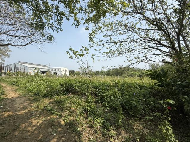 桃園八德農地-3