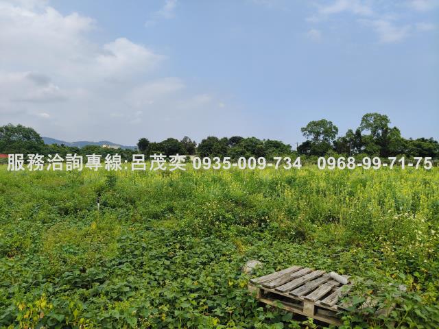 宜蘭礁溪農地-6