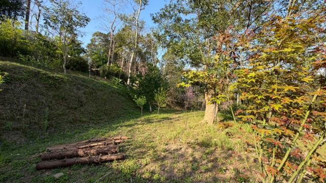 新竹北埔農地_山坡地-10