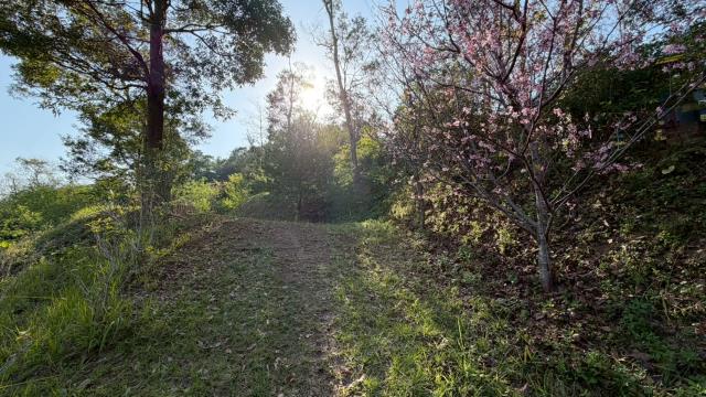 新竹北埔農地_山坡地-11