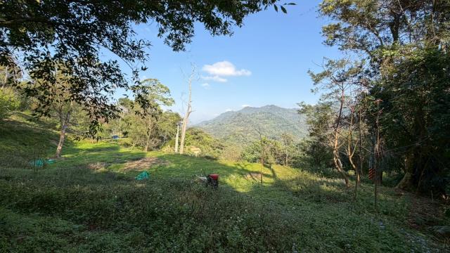 新竹北埔農地_山坡地-12