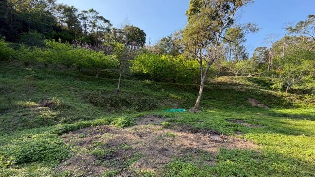 新竹北埔農地_山坡地-14