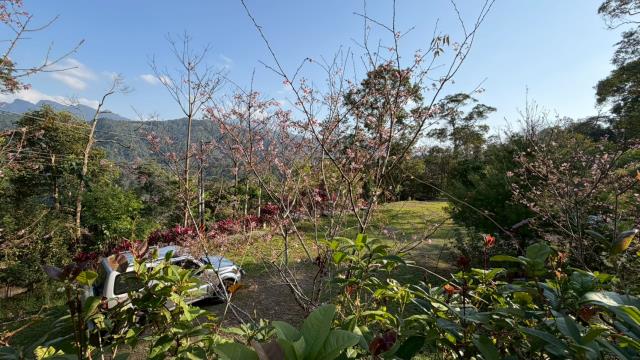 新竹北埔農地_山坡地-6