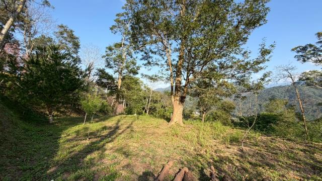 新竹北埔農地_山坡地-9