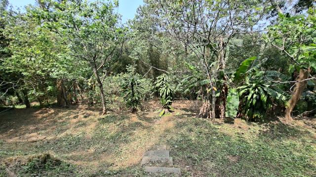 峨眉農地_山坡地_休閒地-10