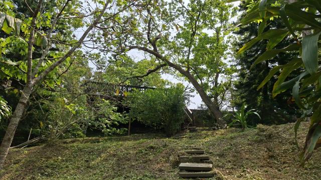 峨眉農地_山坡地_休閒地-11