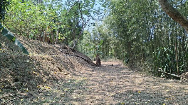 峨眉農地_山坡地_休閒地-12