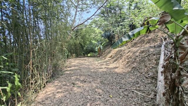 峨眉農地_山坡地_休閒地-13