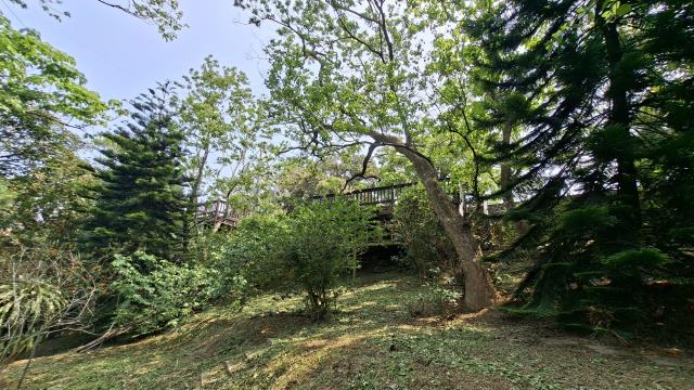 峨眉農地_山坡地_休閒地-15