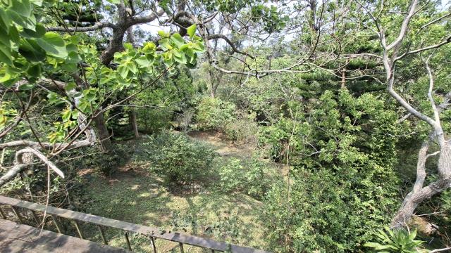 峨眉農地_山坡地_休閒地-4