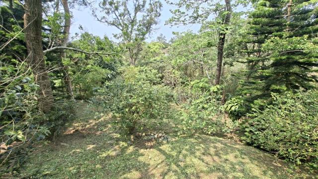 峨眉農地_山坡地_休閒地-6