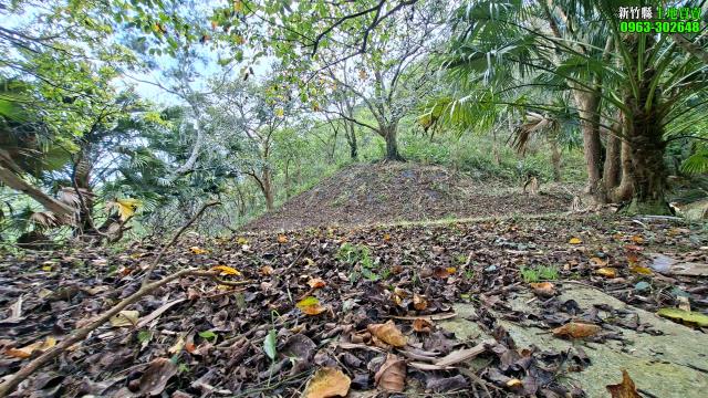 北埔農地_山坡地_休閒地-10