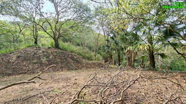 北埔農地_山坡地_休閒地-11