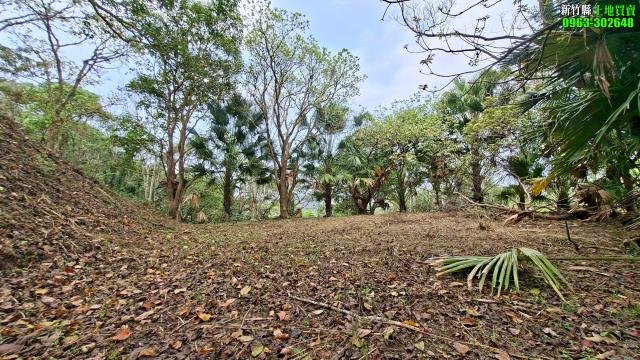 北埔農地_山坡地_休閒地-12