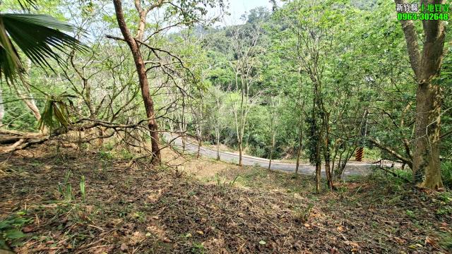 北埔農地_山坡地_休閒地-13