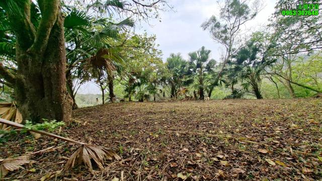 北埔農地_山坡地_休閒地-14