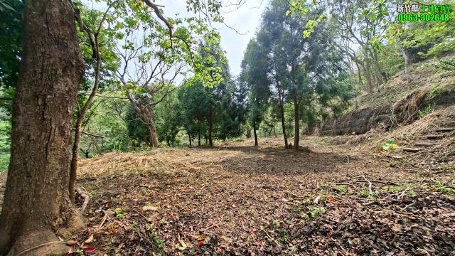 北埔農地_山坡地_休閒地-5