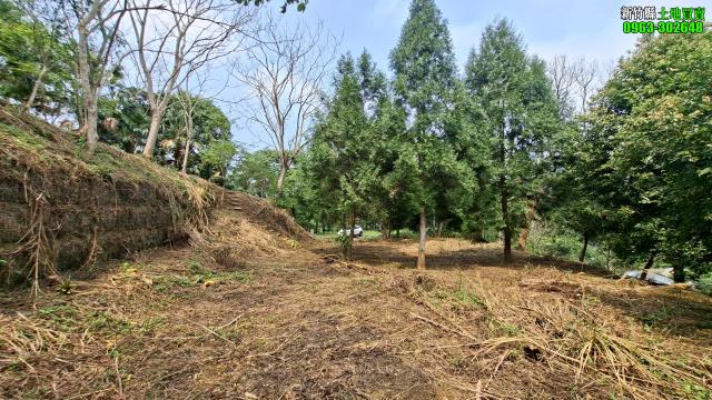 北埔農地_山坡地_休閒地-6