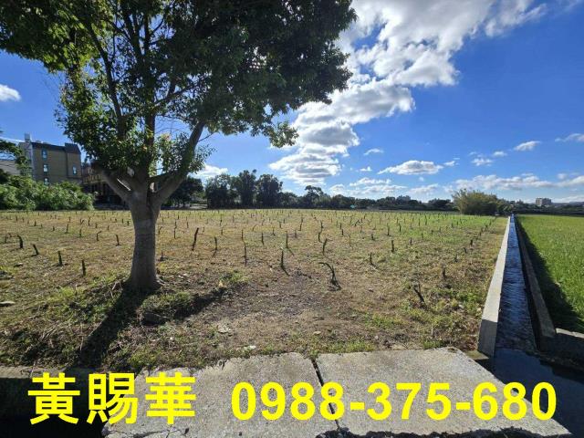桃園農地-3