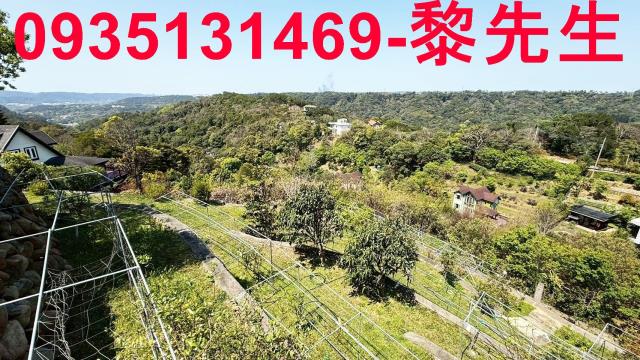 新竹關西農地-5