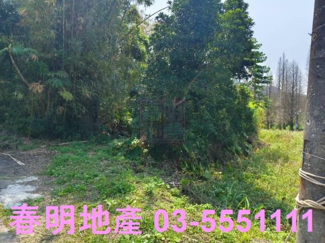 新竹橫山農地-5