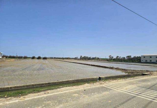 桃園觀音農地-4