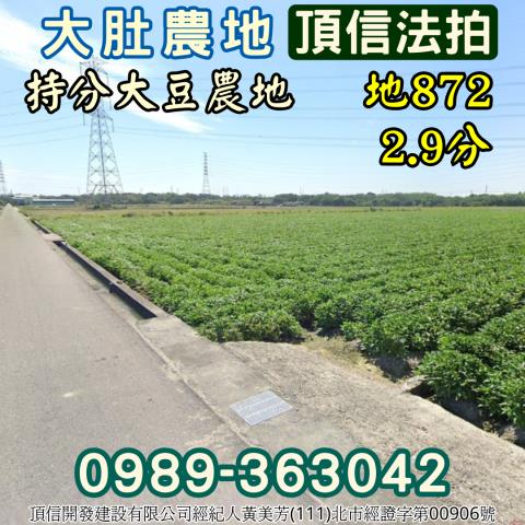 大肚法拍農地-0