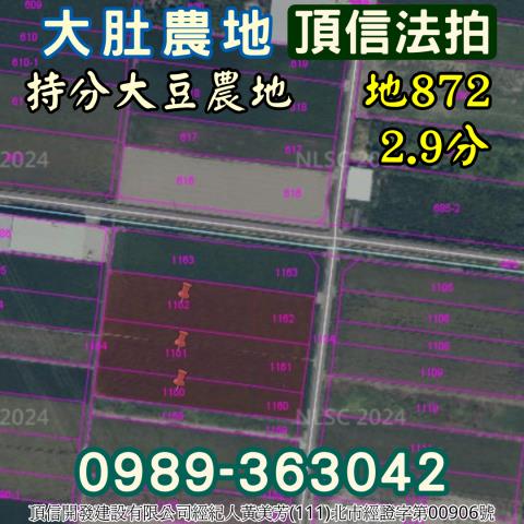 大肚法拍農地-3